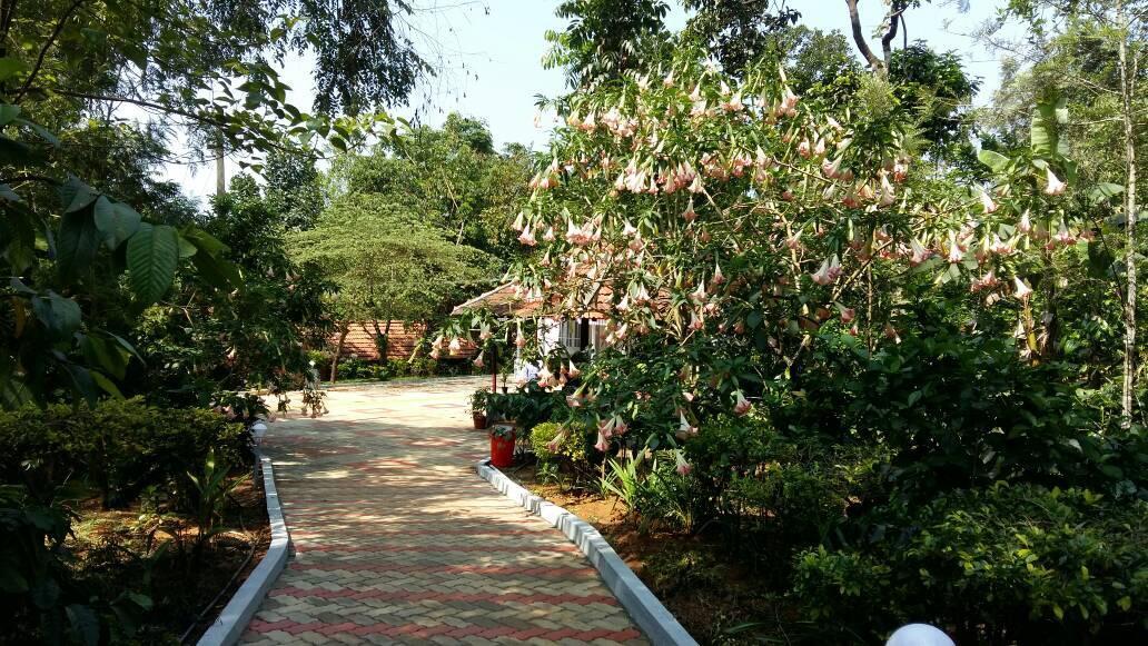 Leisure Vacations Whispering Woods Hotel Madikeri Exterior photo