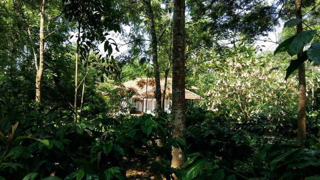 Leisure Vacations Whispering Woods Hotel Madikeri Exterior photo
